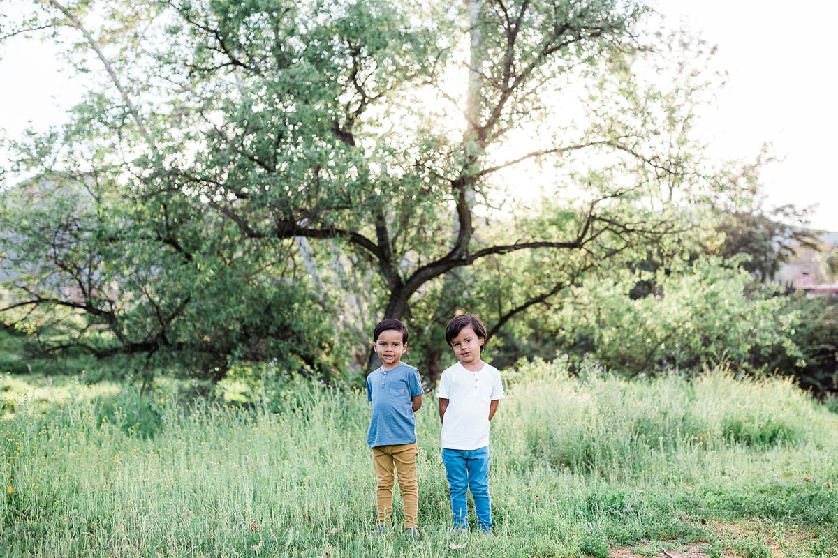 Two young brothers standing in a green meadow beneath a large oak tree