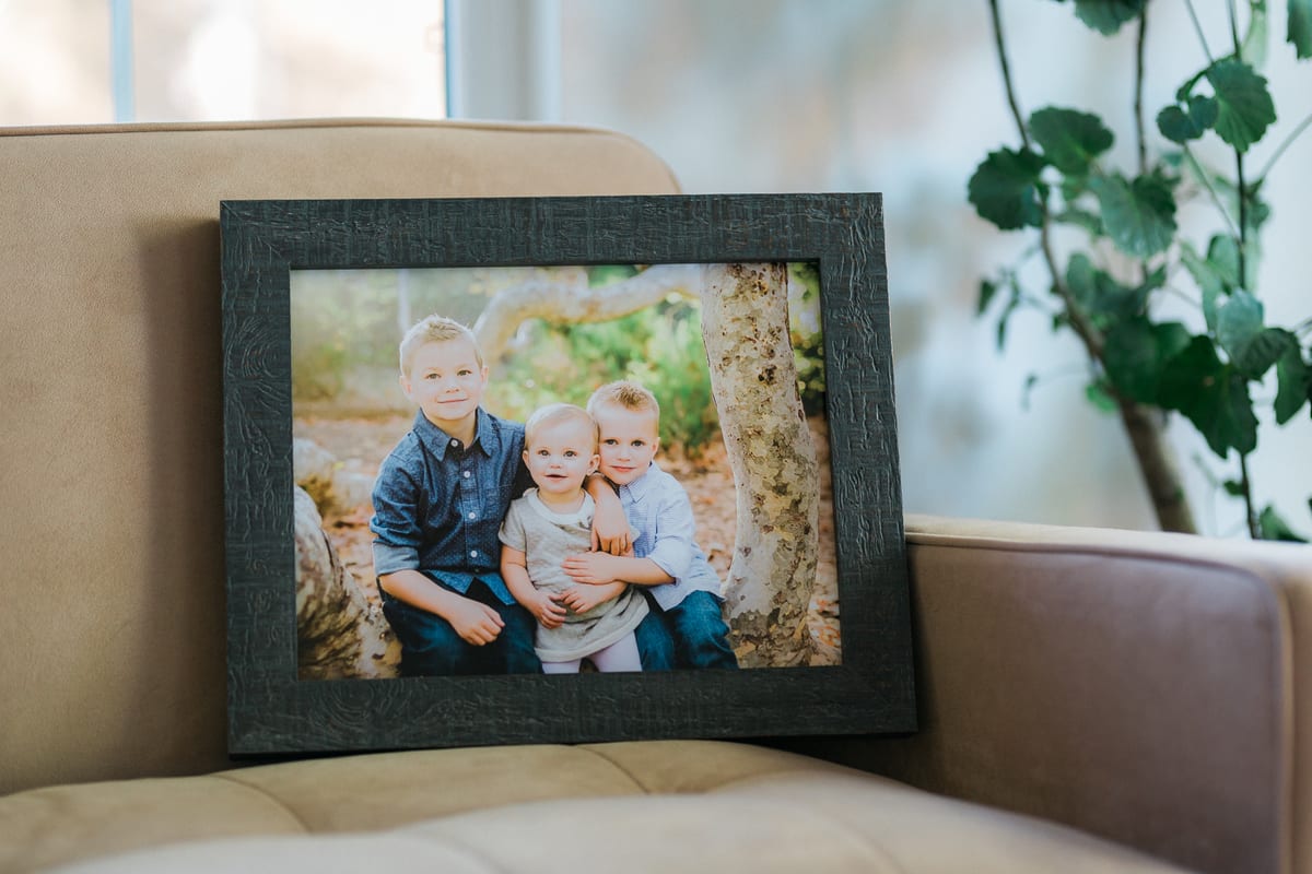 Framed portrait of three siblings resting on a leather armchair