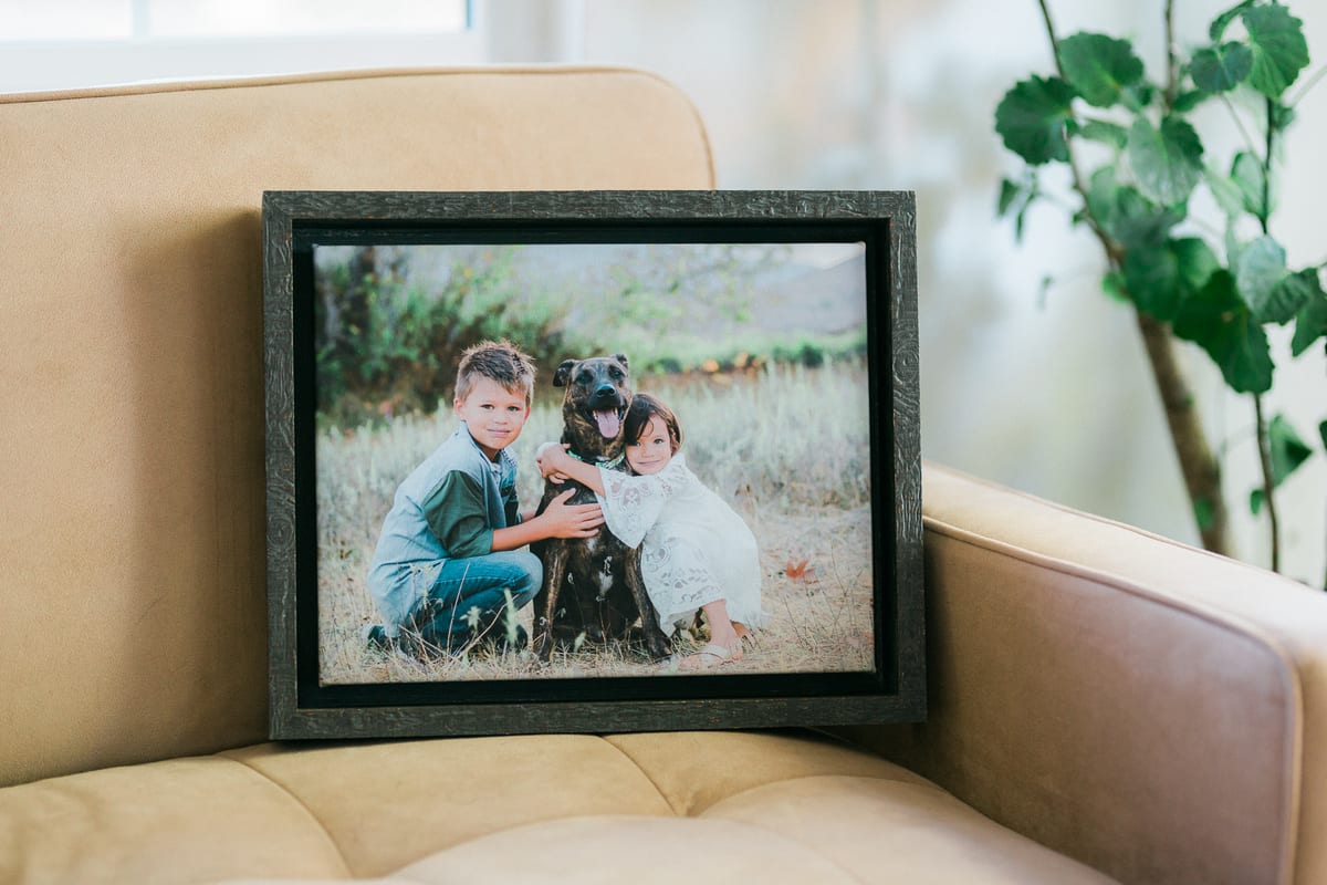 Framed portrait of a brother and sister with their dog on an armchair