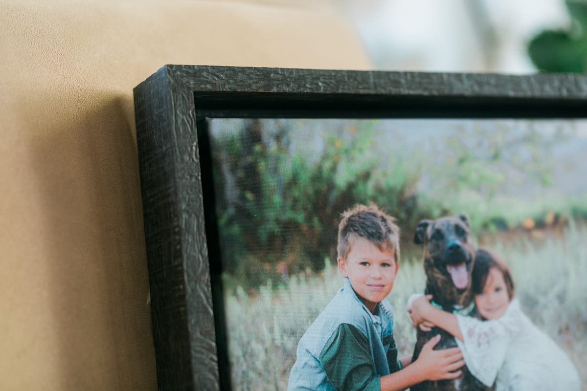 Close-up of a framed print of children hugging their dog
