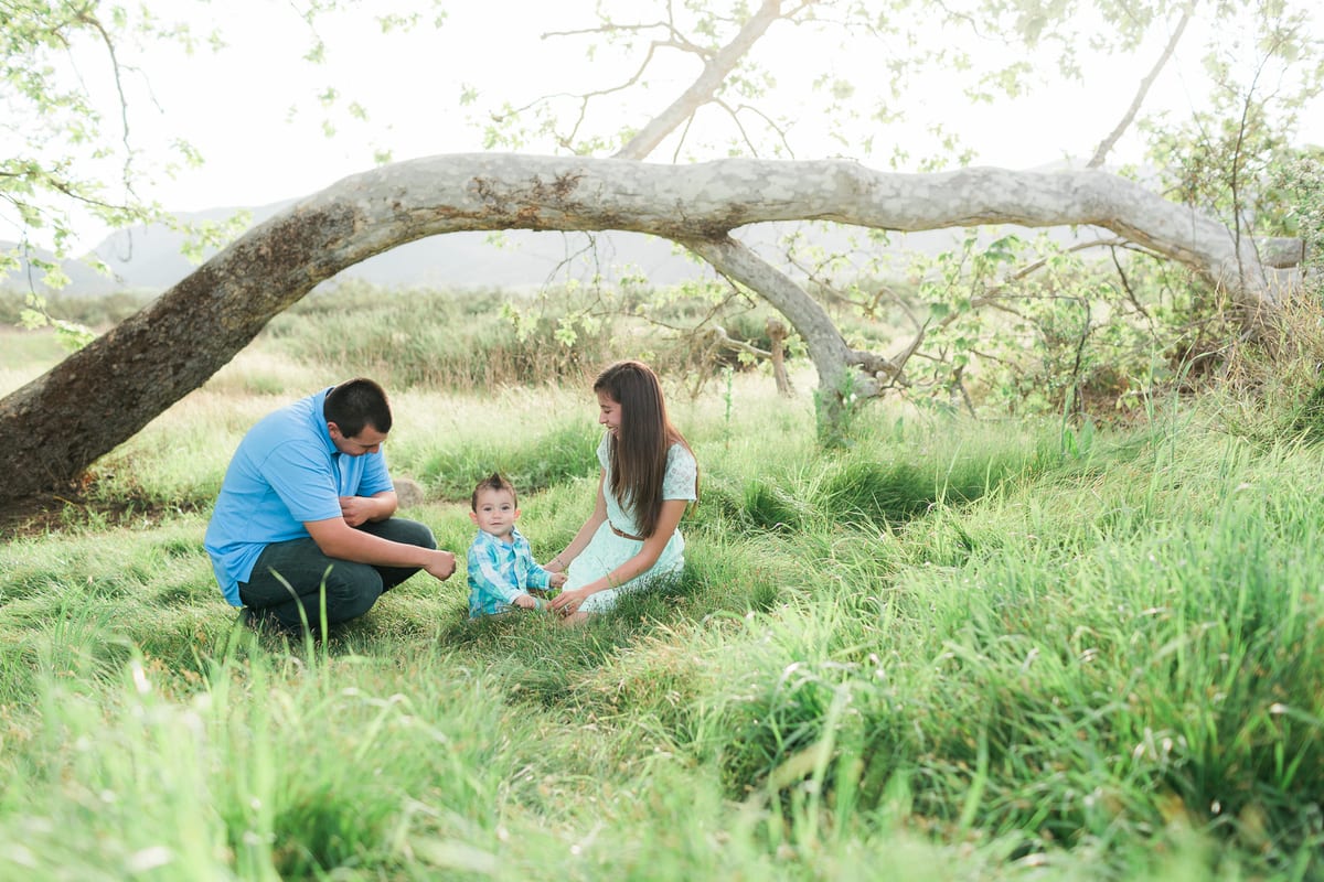 Parents playing with their toddler in the grass under a curved tree branch