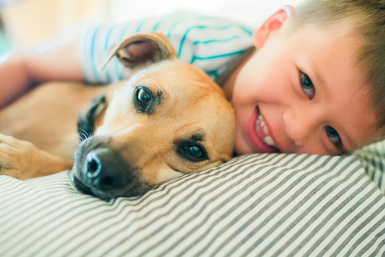 Smiling boy cuddling his dog on a striped cushion
