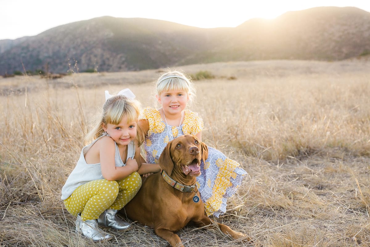Two little sisters hugging their Vizsla in a golden field