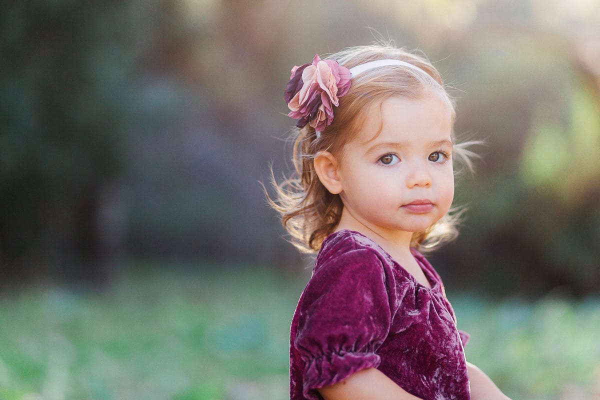 Toddler girl in a velvet dress with a flower in her hair