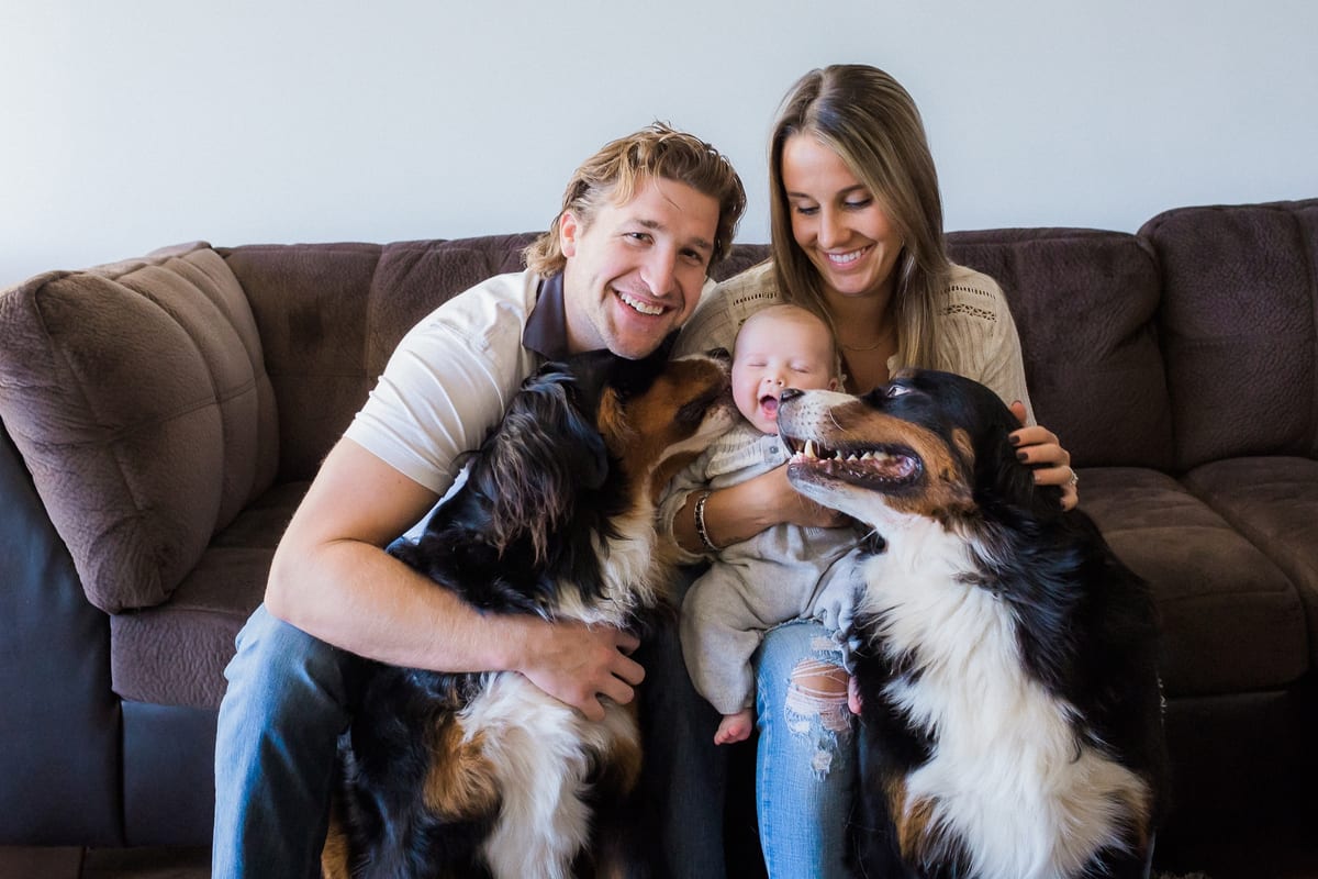 New parents on the couch with their baby son and two Bernese Mountain Dogs