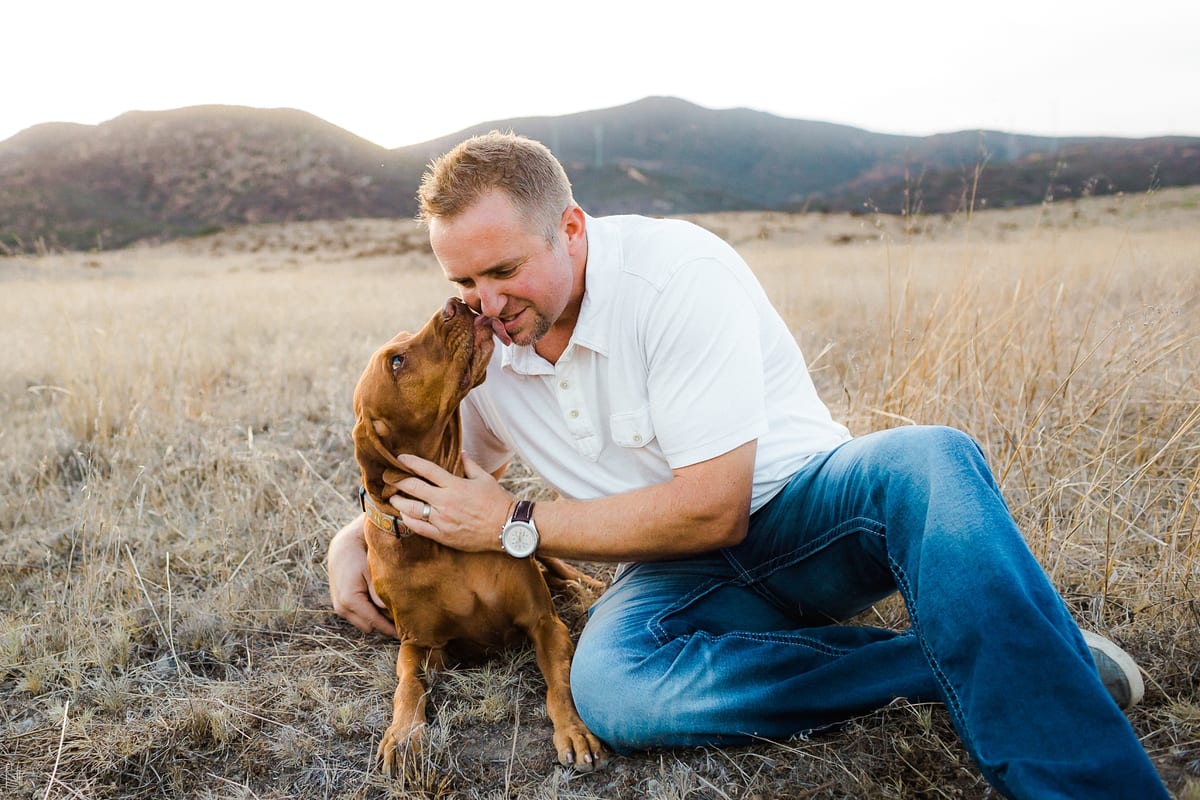 Man sitting in a golden field getting a kiss from his Vizsla