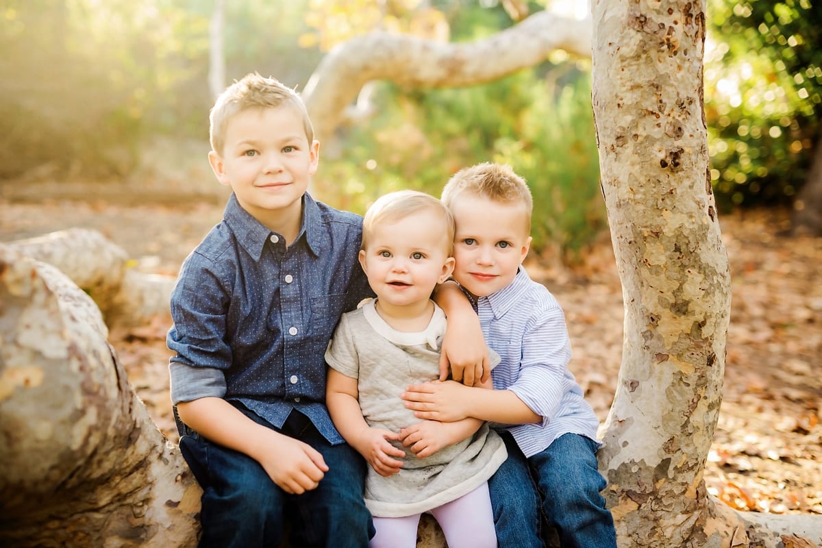 Two brothers holding their baby sister on a fallen tree