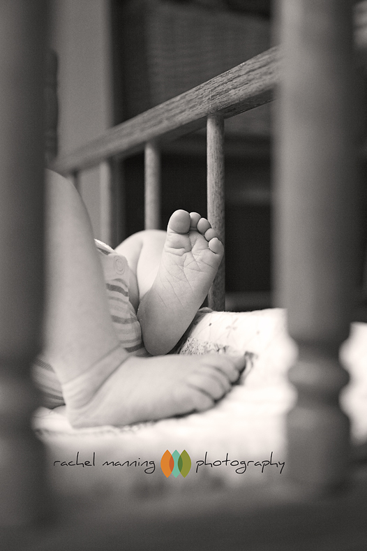 Newborn Session: Baby Ellie