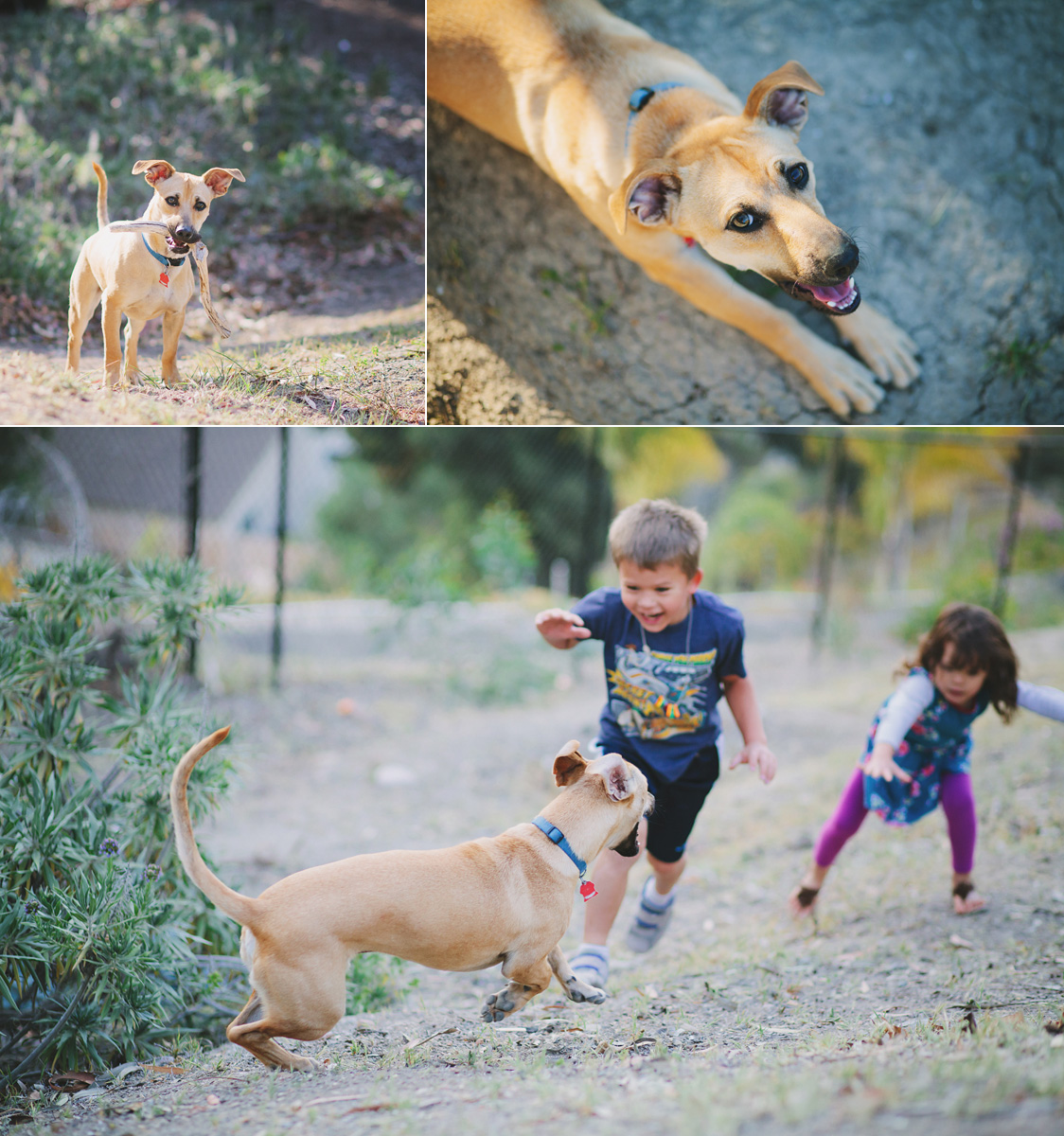 San Diego Lifestyle Portrait Photgrapher - Project Ten: Adventure