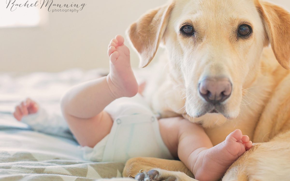 San Diego Newborn Lifestyle Photographer:  Welcome Baby Lex!