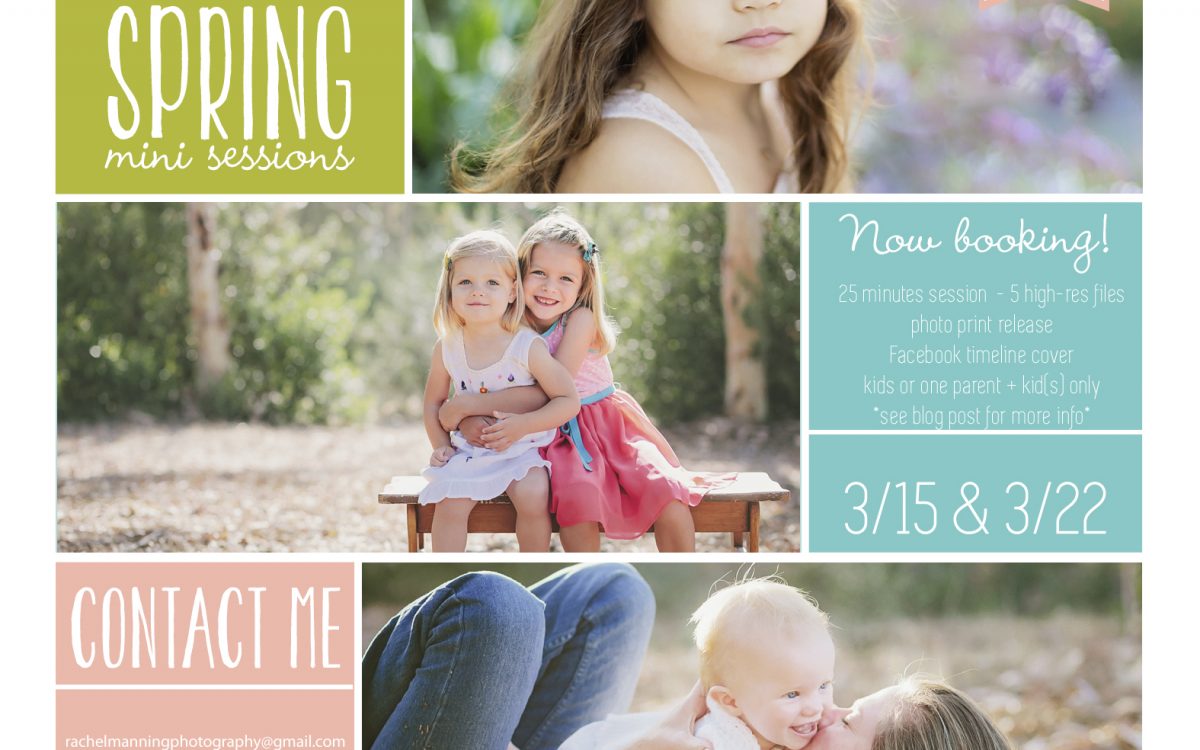 San Diego Family & Child Photographer:  Spring Wildflower Mini-Sessions
