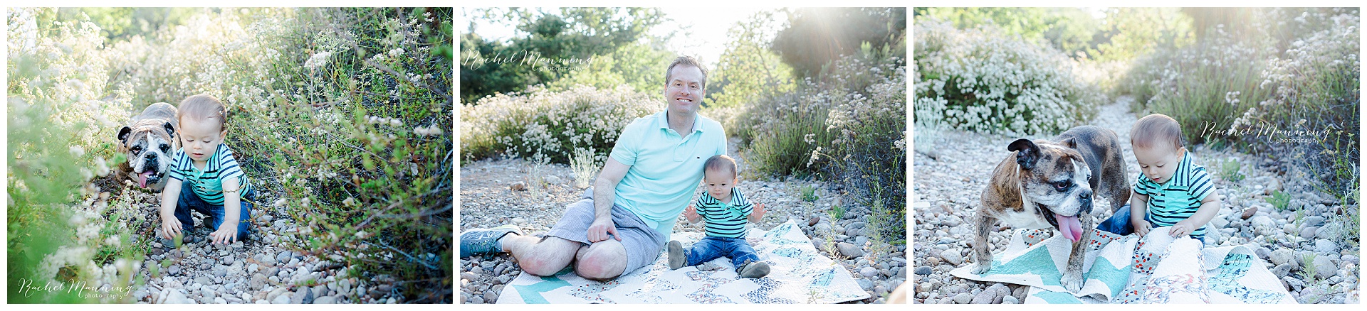 San Diego Family Photographer | La Jolla Wildflowers Session with family dog | Rachel Manning Photography