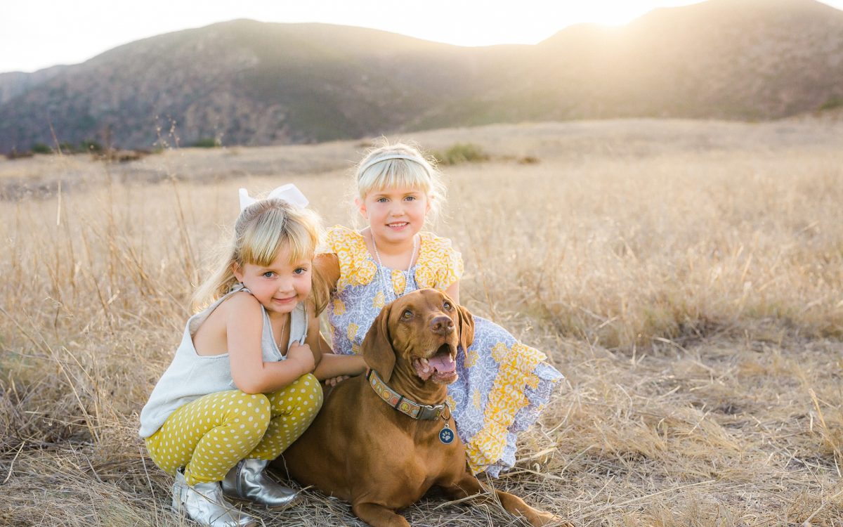San Diego Family Photographer | San Diego Dog Photographer | San Diego Natural Light Photography | Gorgeous back-lit Family Photo Session at Mission Trails in the San Diego sunshine